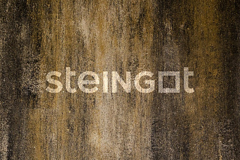 ���������� ������ Steingot �������� ���� "����� ���� Stein Chrome"