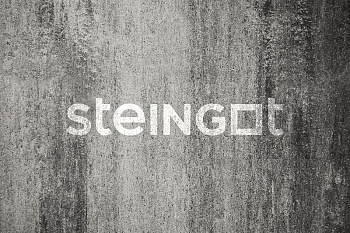 ���������� ������ Steingot ����� "����� ���� Stein Silver"